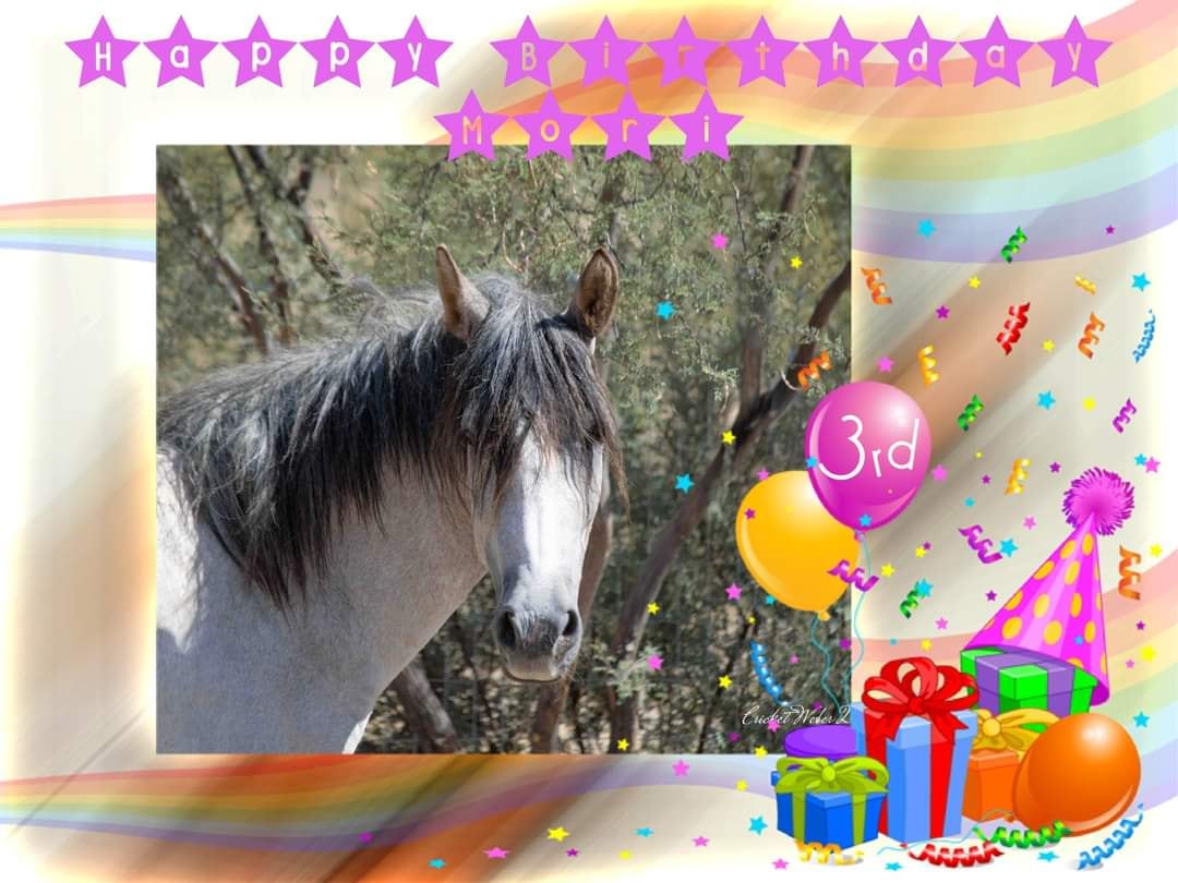 SRWHMG Rescue highlight: Mori’s 3rd Birthday! 💕🎂🥕
