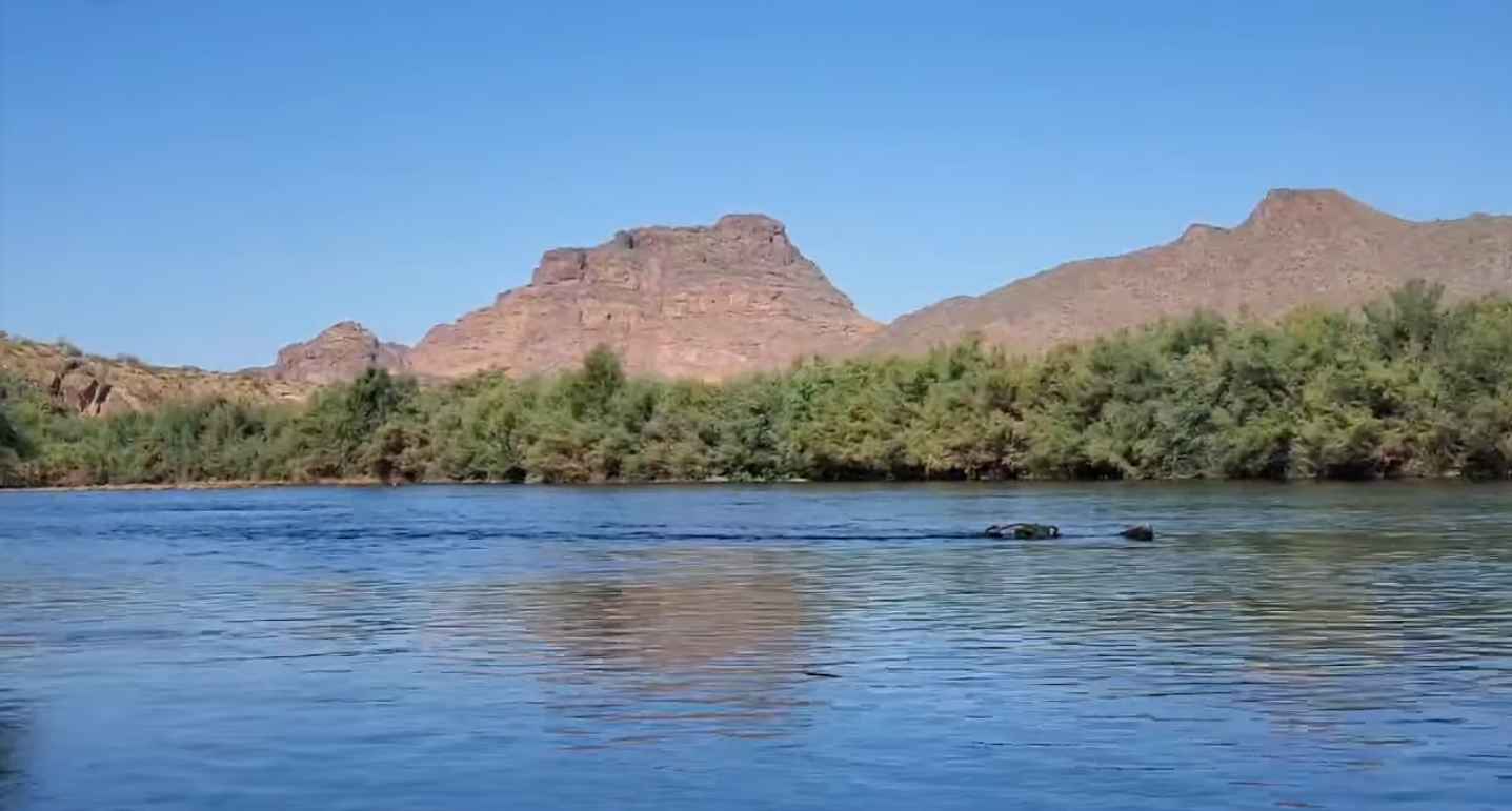 A Salt River without Salt River wild horses…