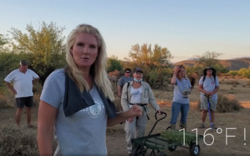 Help feed the horses!