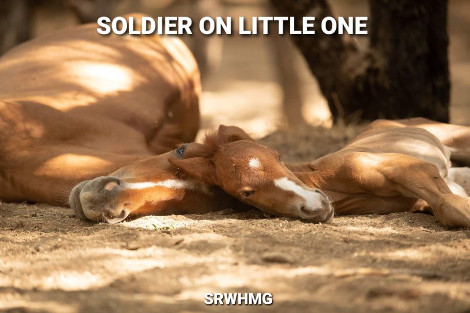 Soldier on.