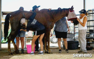 🐴🐴🐴 Keeping an iconic treasure along the Salt River for everyone to enjoy is PRICELESS.