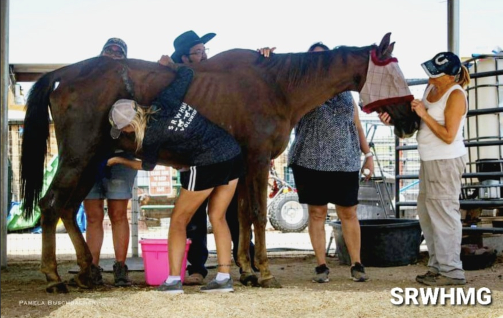 🐴🐴🐴 Keeping an iconic treasure along the Salt River for everyone to enjoy is PRICELESS.