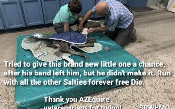 Sad news