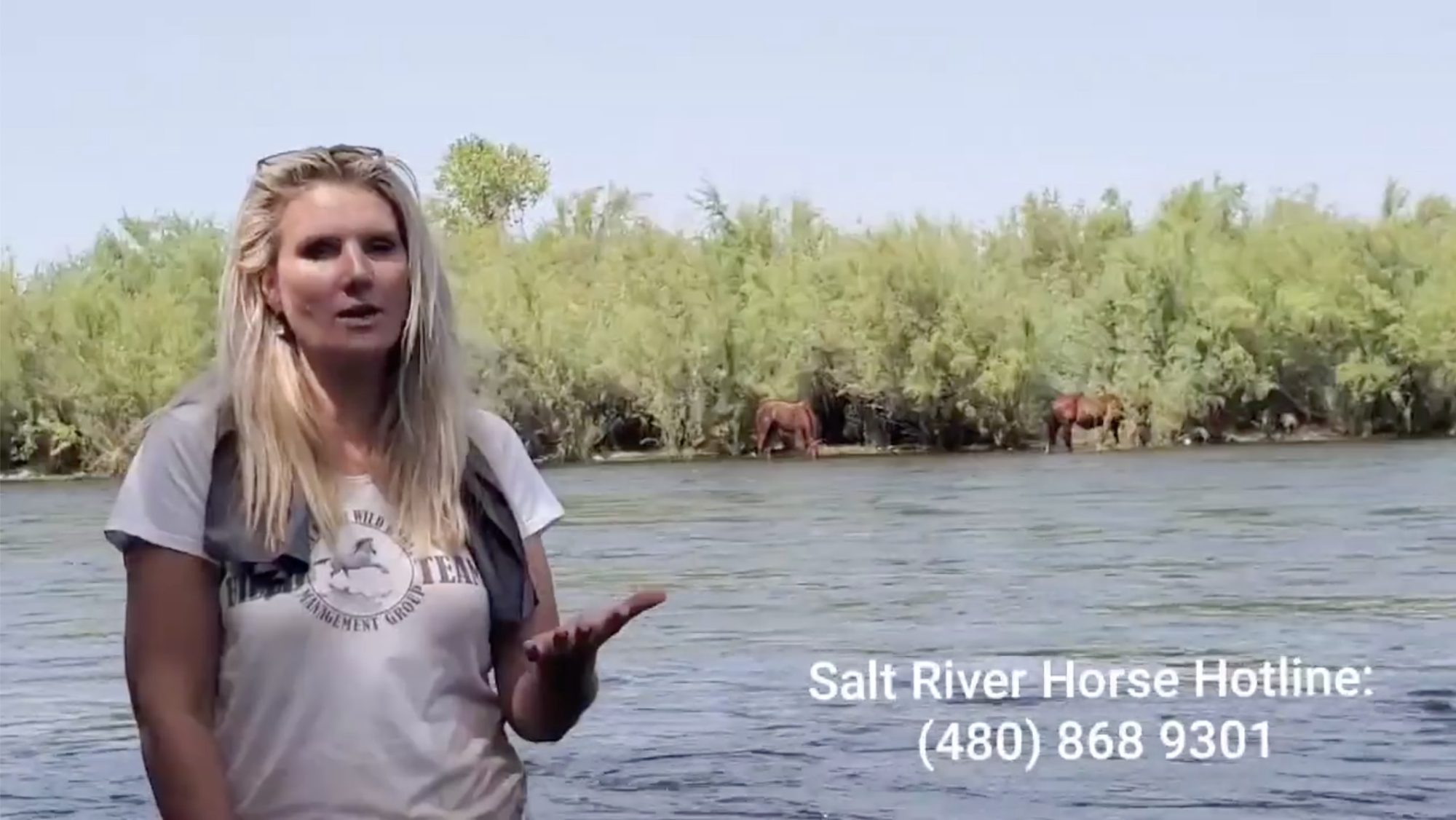 Watching Raven in the river, with an explanation of how her life was saved..