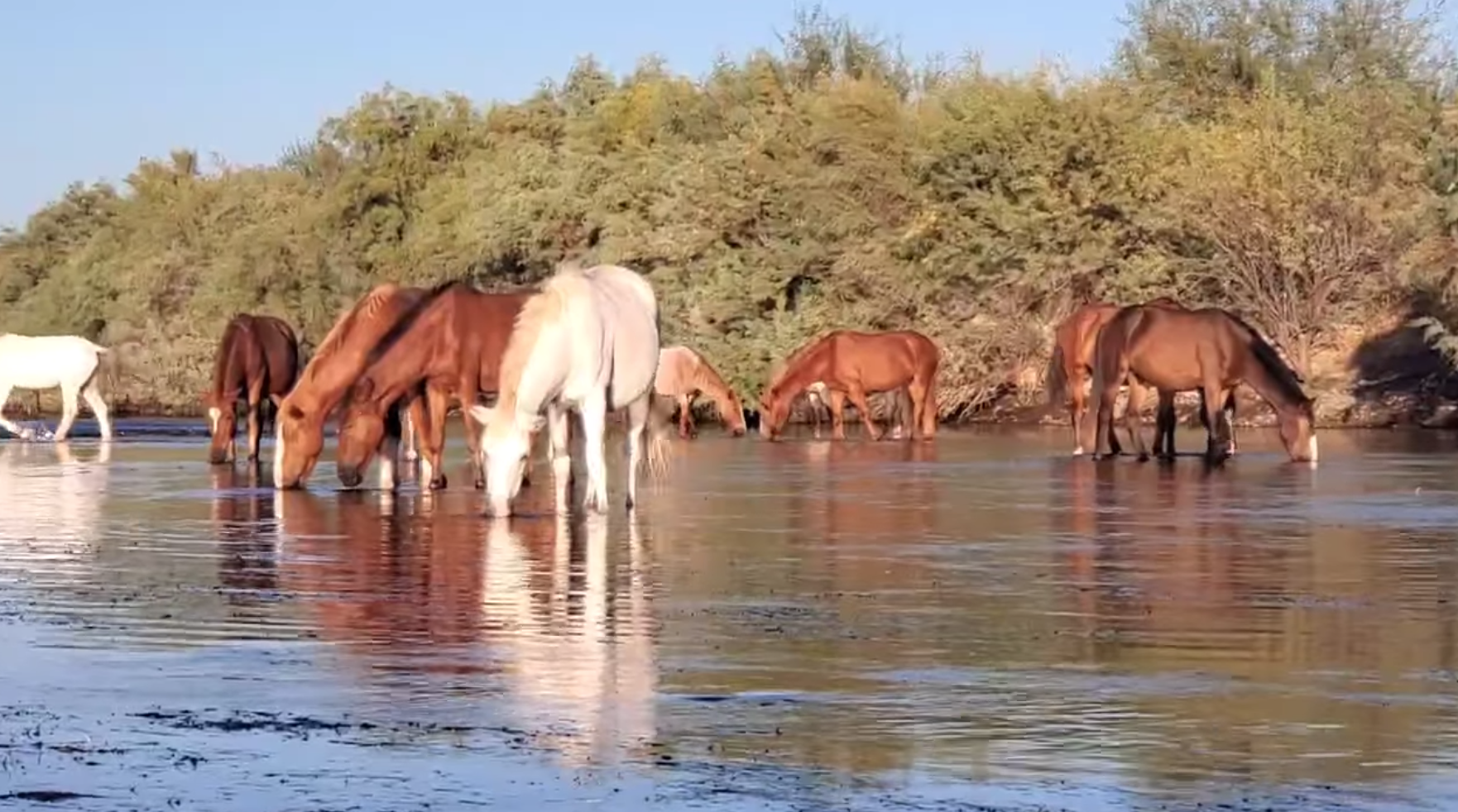“As the river flows”