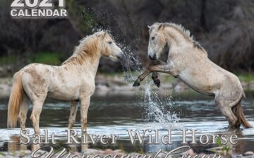 Order the 2021 SRWHMG calendar!