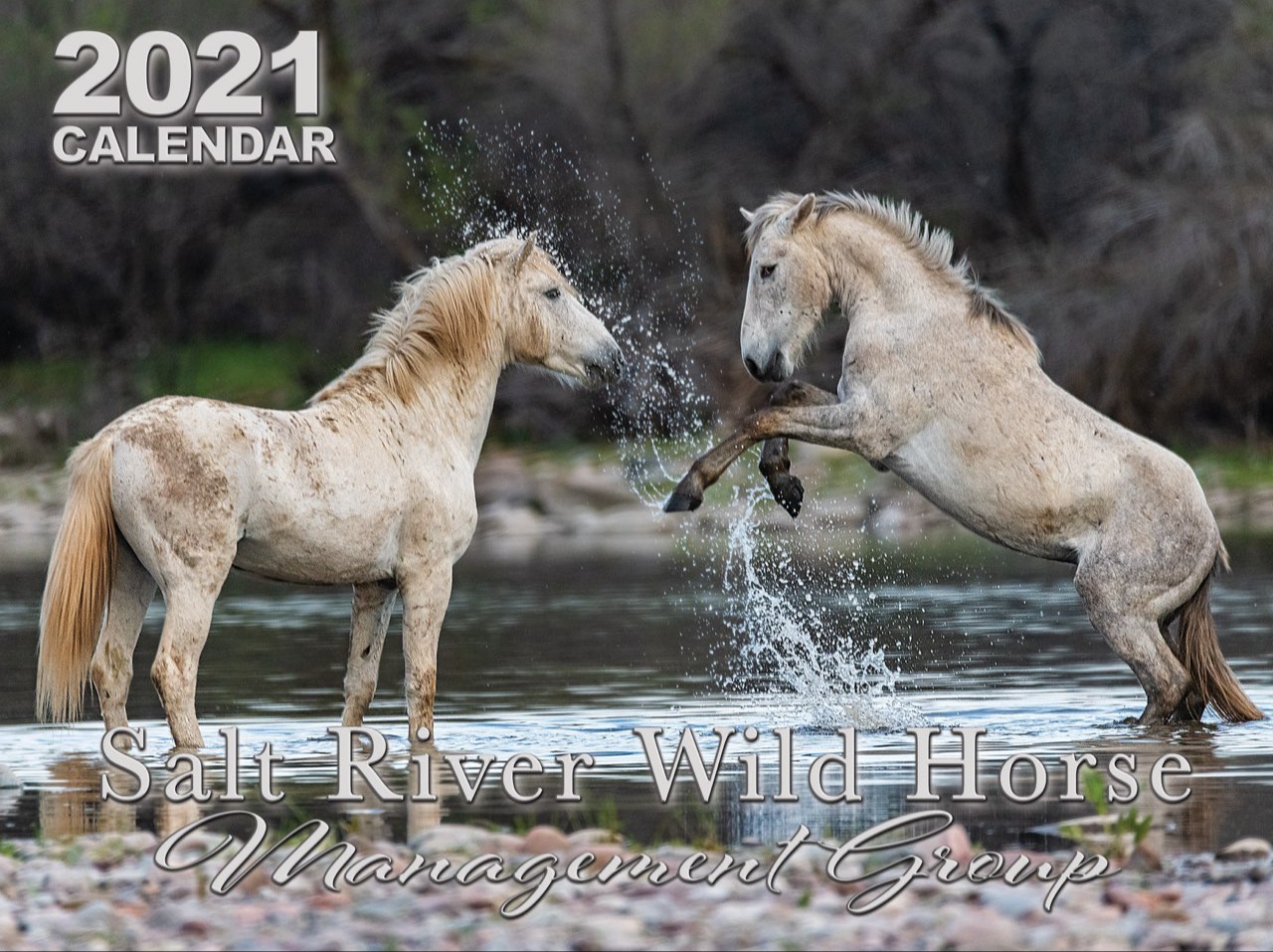 Order the 2021 SRWHMG calendar!