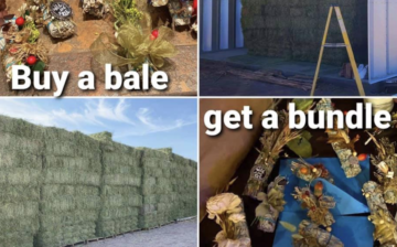 Buy a Bale (of hay) and you’ll get a Bundle (of natural sage or flowers)!