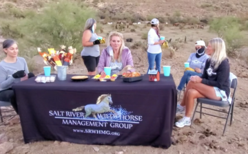 After we fed the wilds their meal, we are having a little dinner ourselves!