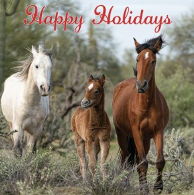 Black Friday/Cyber Monday/Giving Tuesday