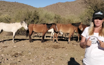 Coming up….amazing field operation!