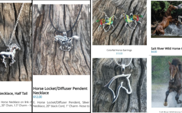 Greeting cards, Holiday cards, Calendars, Earrings, cool Necklaces, Bracelets!
