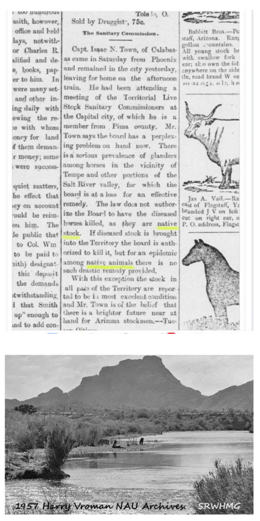 salt river wild horse management group faq