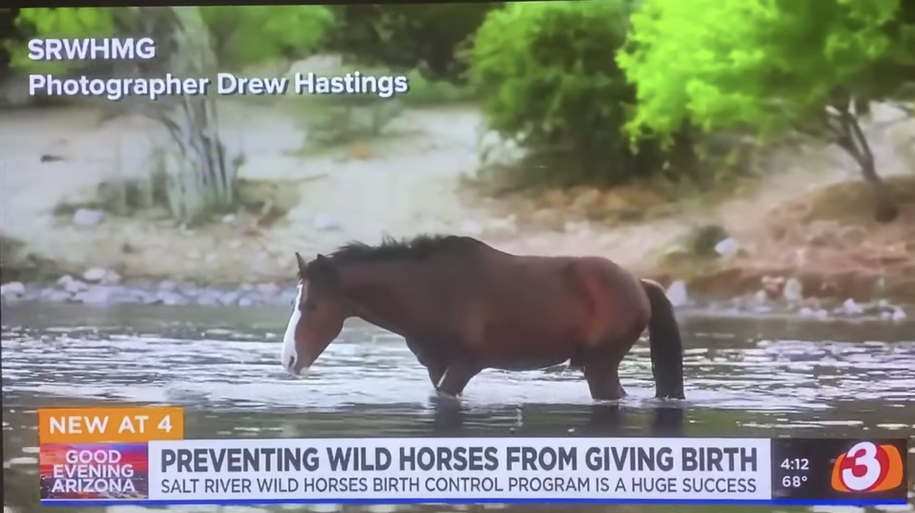 It is our goal for every horse born on the river to live its life happily.