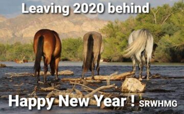 Leave 2020 Behind