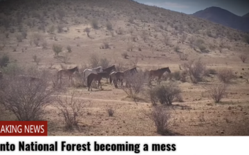 Please don’t trash the Tonto National Forest!