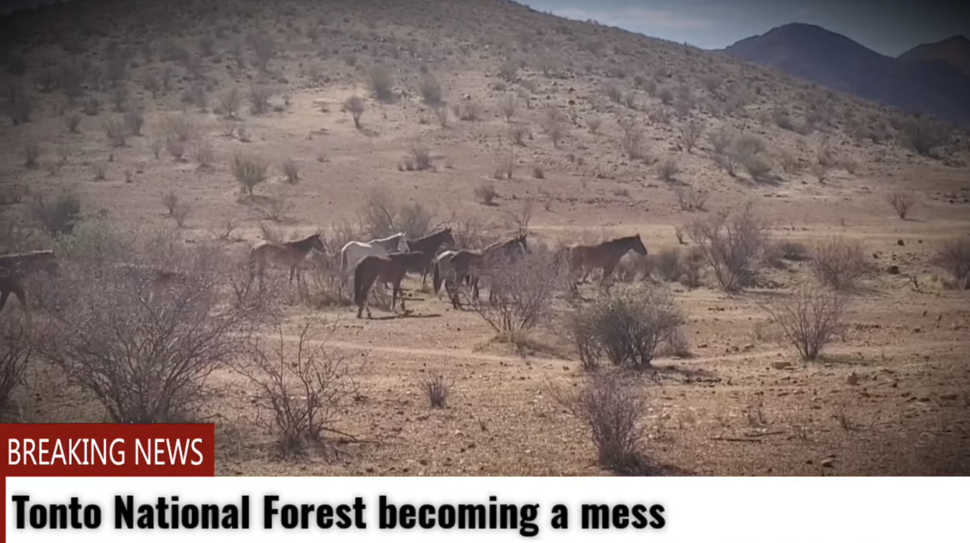 Please don’t trash the Tonto National Forest!