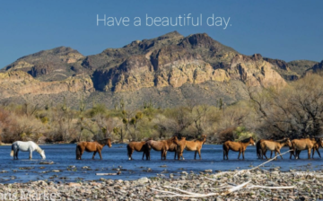 It is a beautiful day in the Tonto National Forest