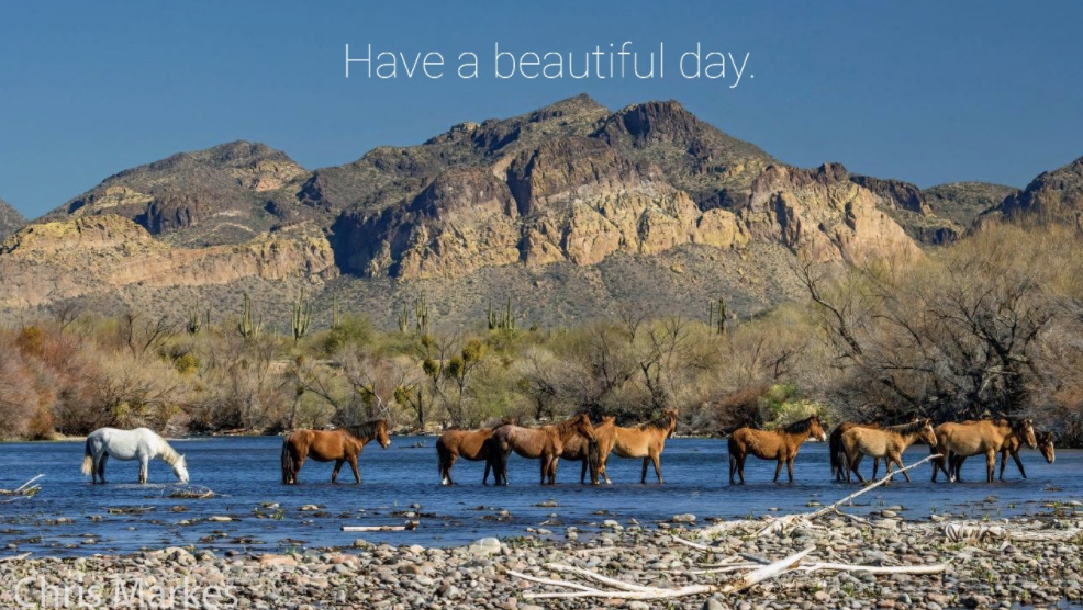 It is a beautiful day in the Tonto National Forest
