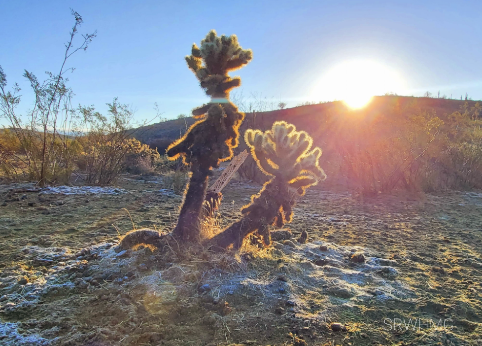 Wow dewy frost this morning in the TNF, not sure if we’ve ever seen that.
