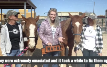 SRWHMG rescued John and Wayne out of the Tonto National Forest
