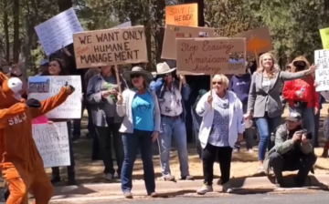 The Heber wild horses are in grave danger!!