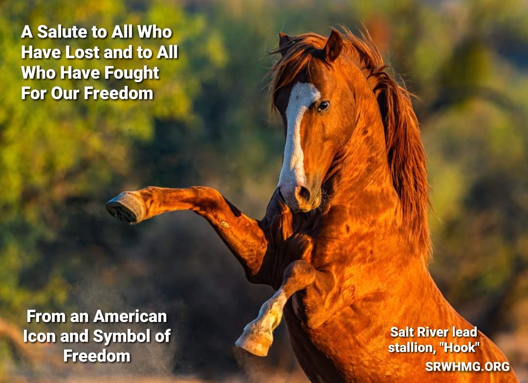 Memorial Day 2021: A Salute to All