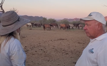 A Peaceful Evening At The Feed Station.