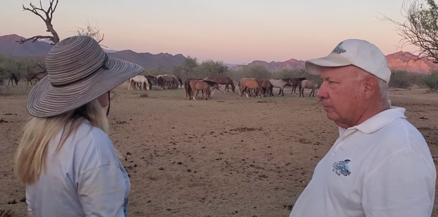 A Peaceful Evening At The Feed Station.