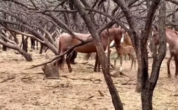 We Know You Will Love This Video!