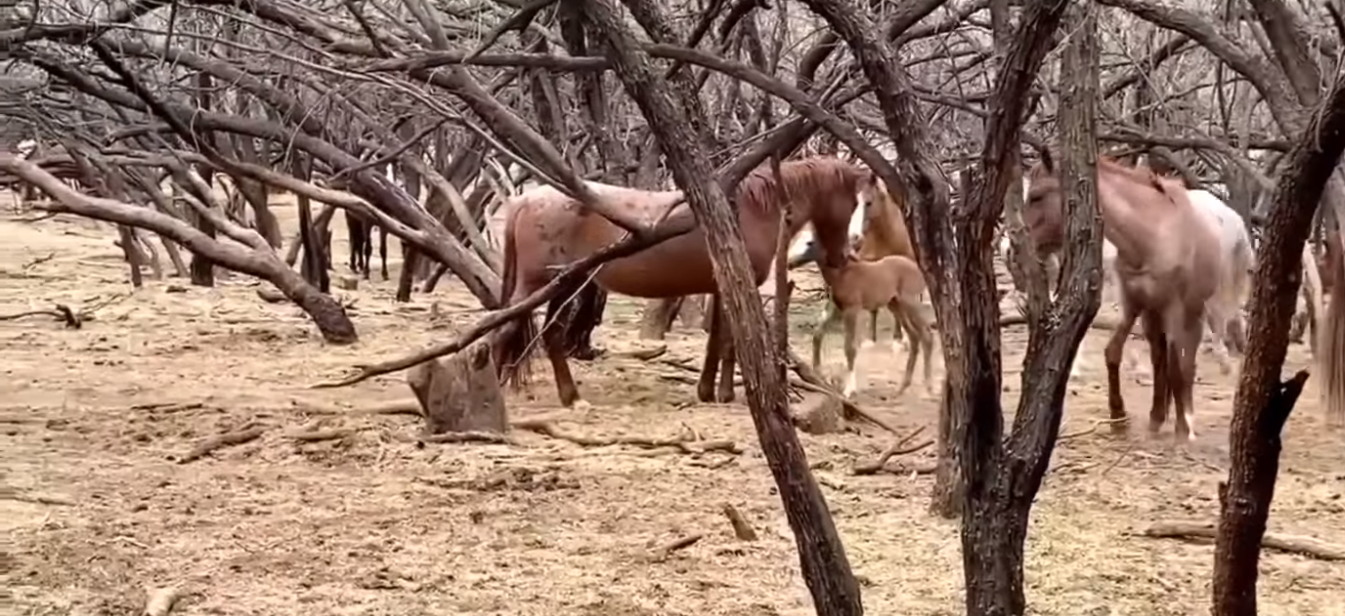 We Know You Will Love This Video!