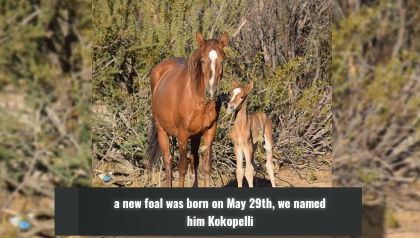 In Memory: Kokopelli