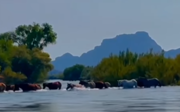 Salt River’s Largest Family Band