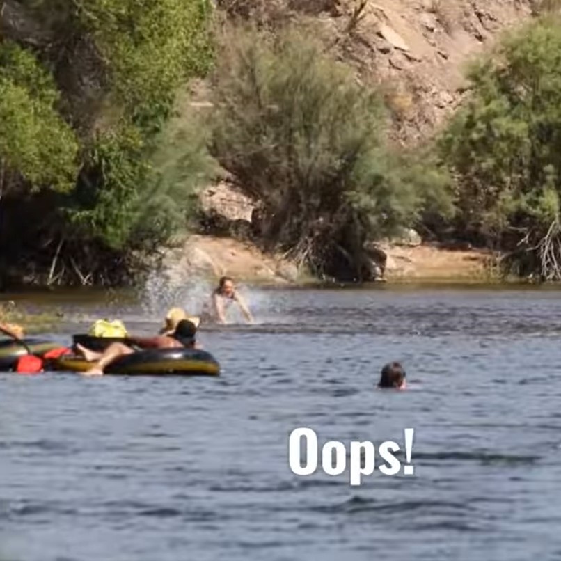 Reminder: Stay 50ft from wild horses at all times.