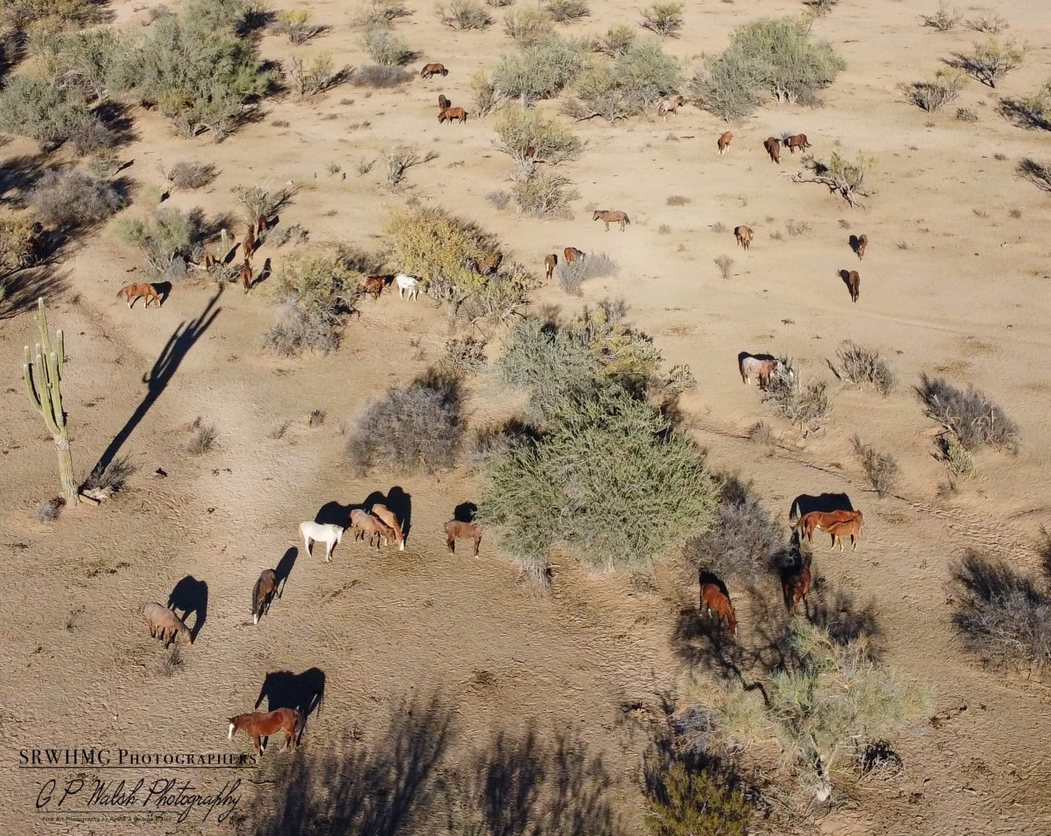 A look at SRWHMG feedstations from the air.