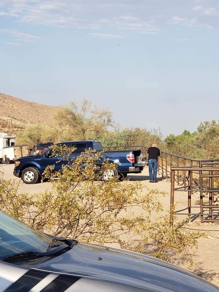 Looking for photo enhancement, so that a real jerk can be caught.