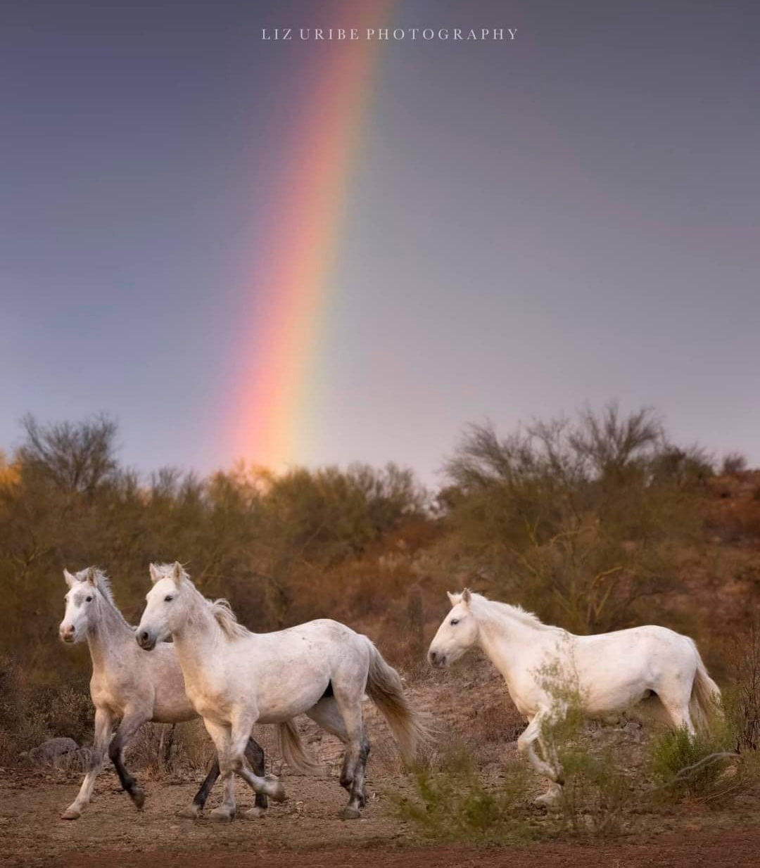 It actually rained this evening!