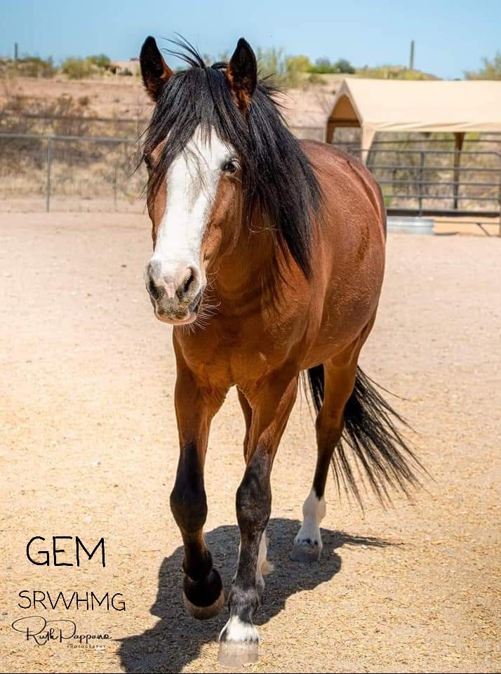 Happy 4th Birthday Gem!