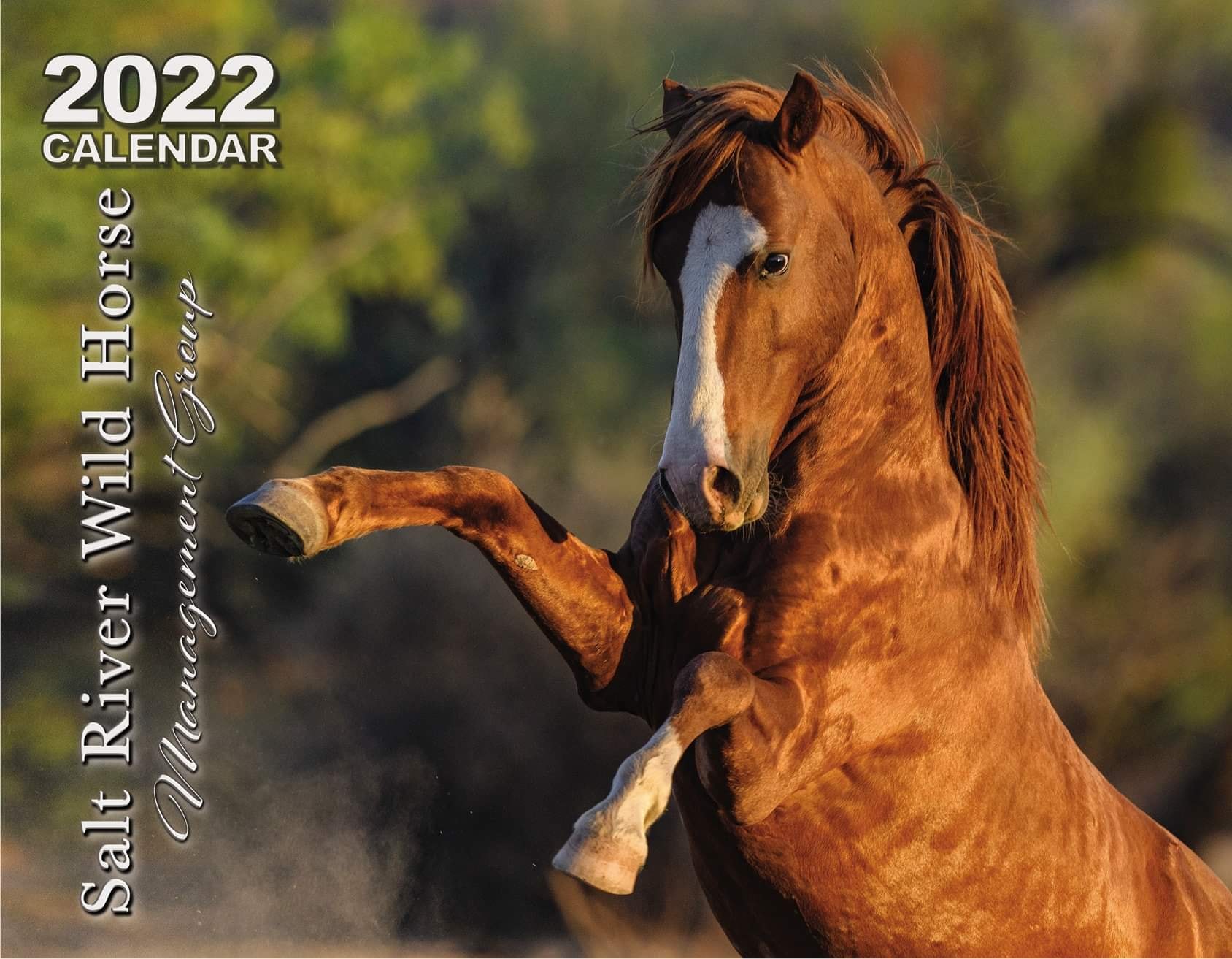 Calendar Sales – Help spread the word!