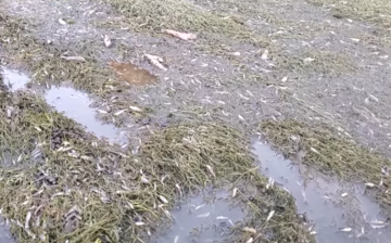 SRP – Calling for change.