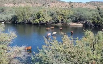 Video Montage – Live as the Salt River receeds