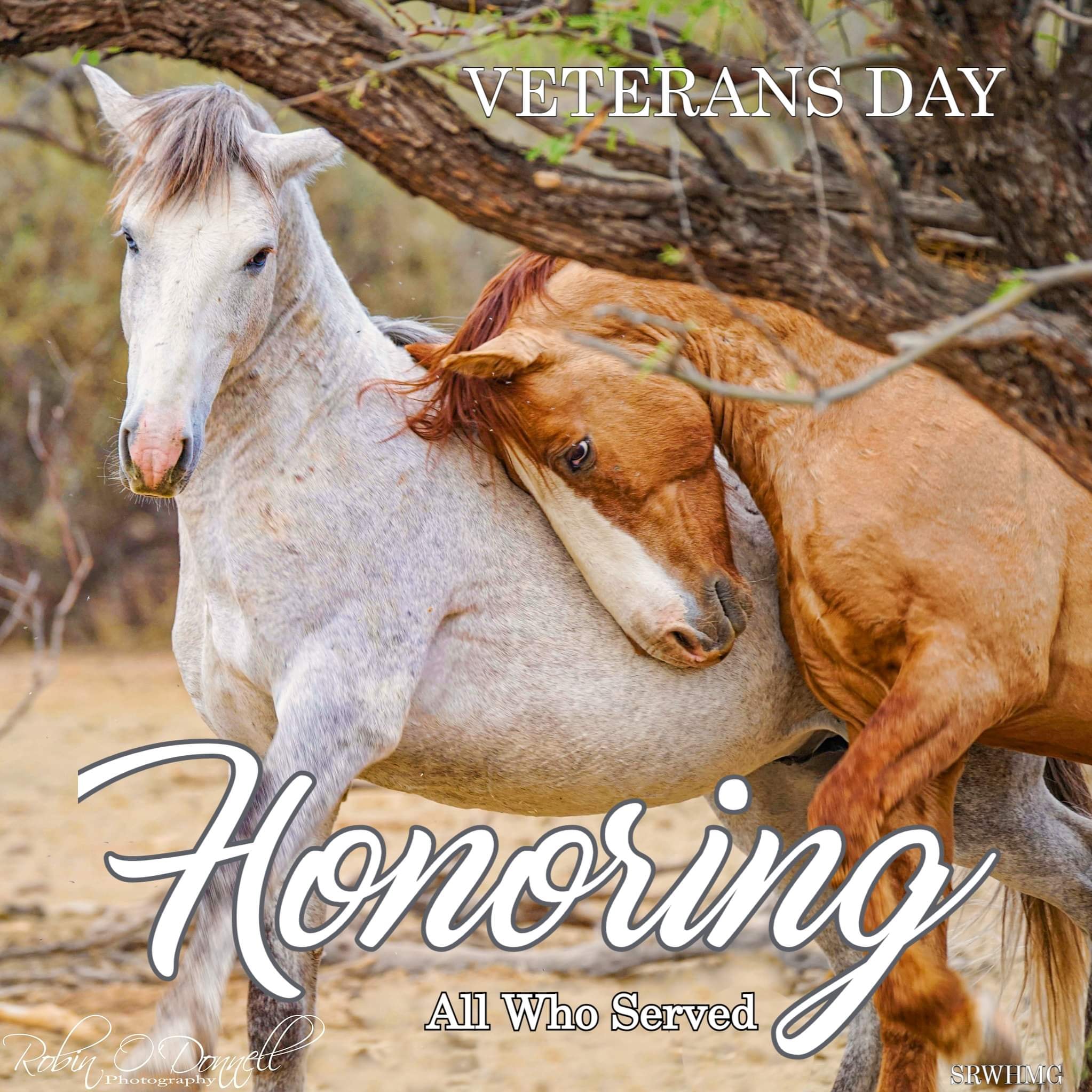 Honoring All Who Served