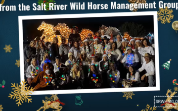 Apache Junction Winter Event