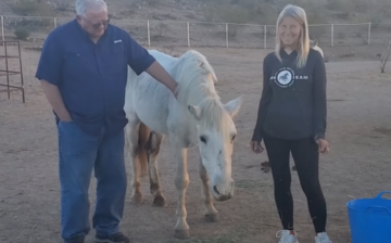 Shadowfax Update 1/15/2022