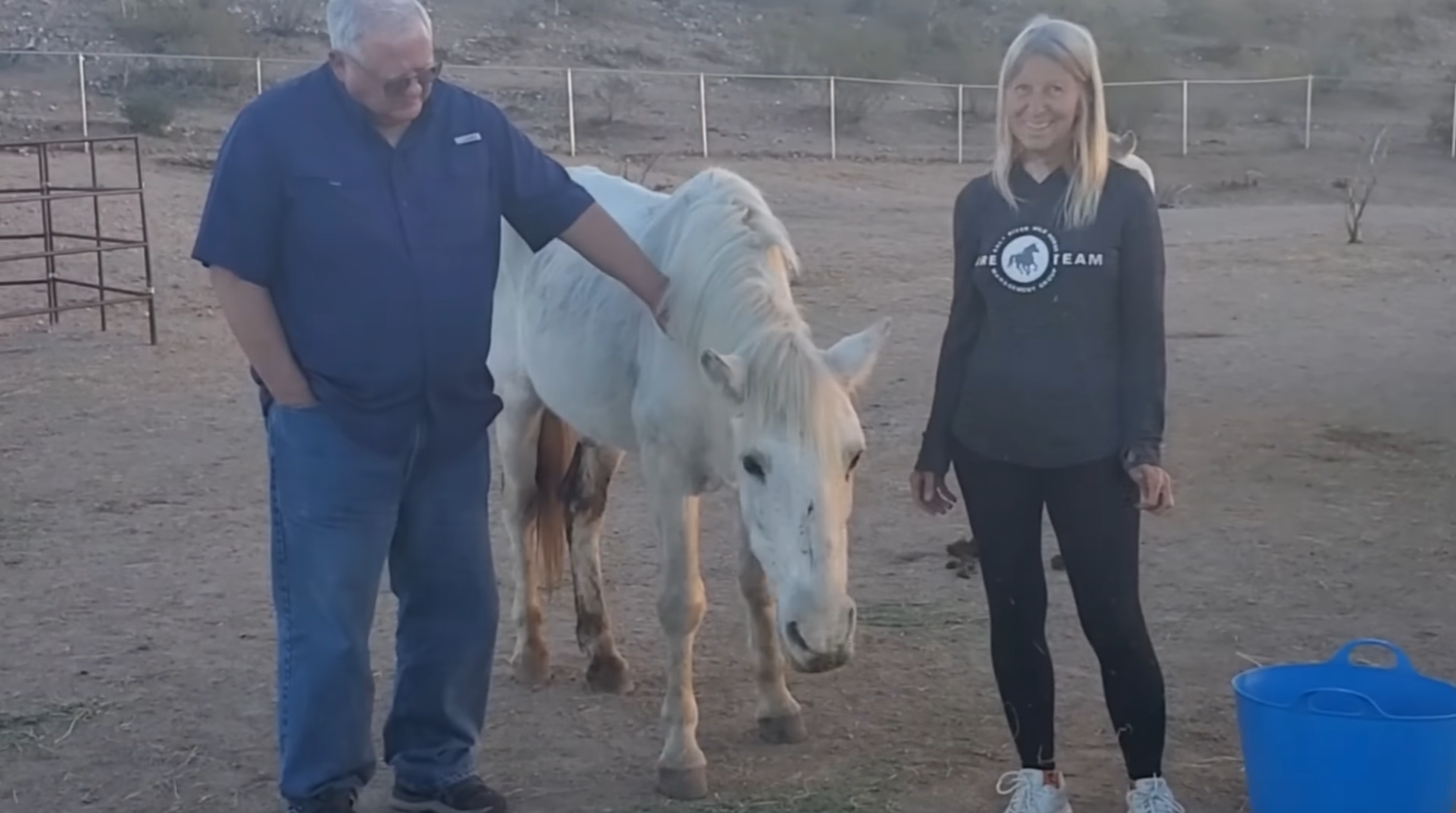 Shadowfax Update 1/15/2022