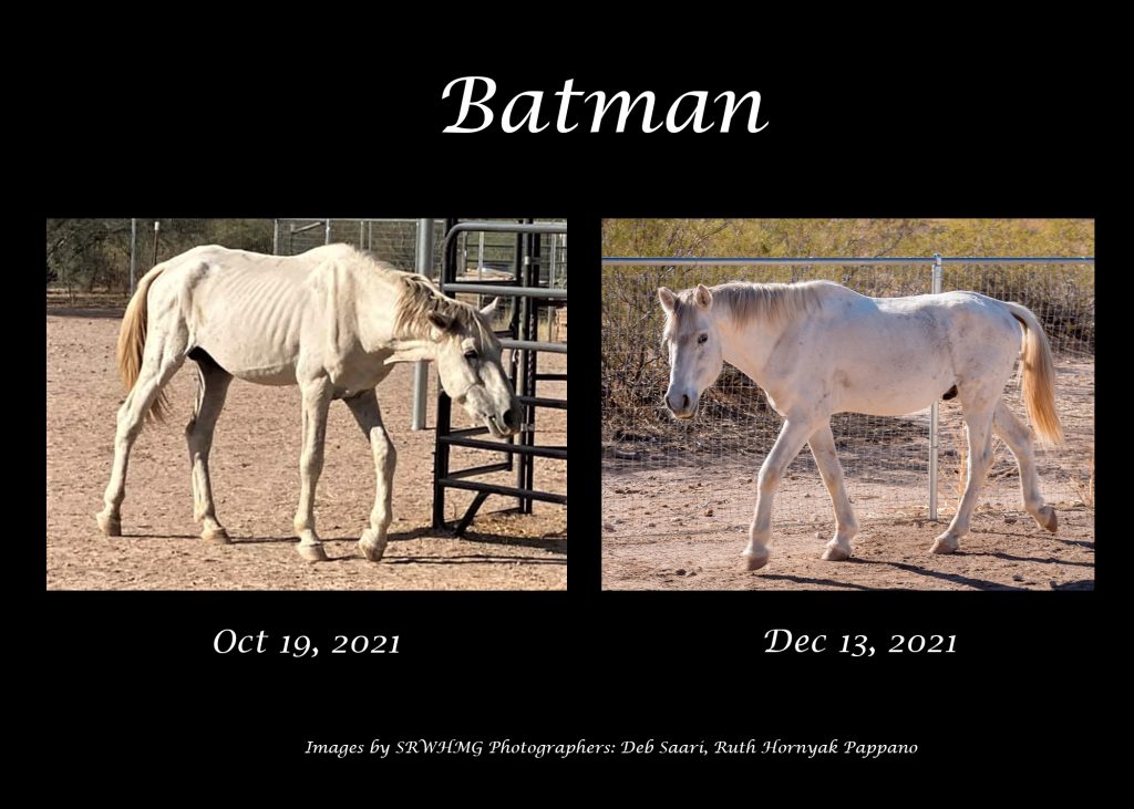 Sponsor Salt River Horse Batman