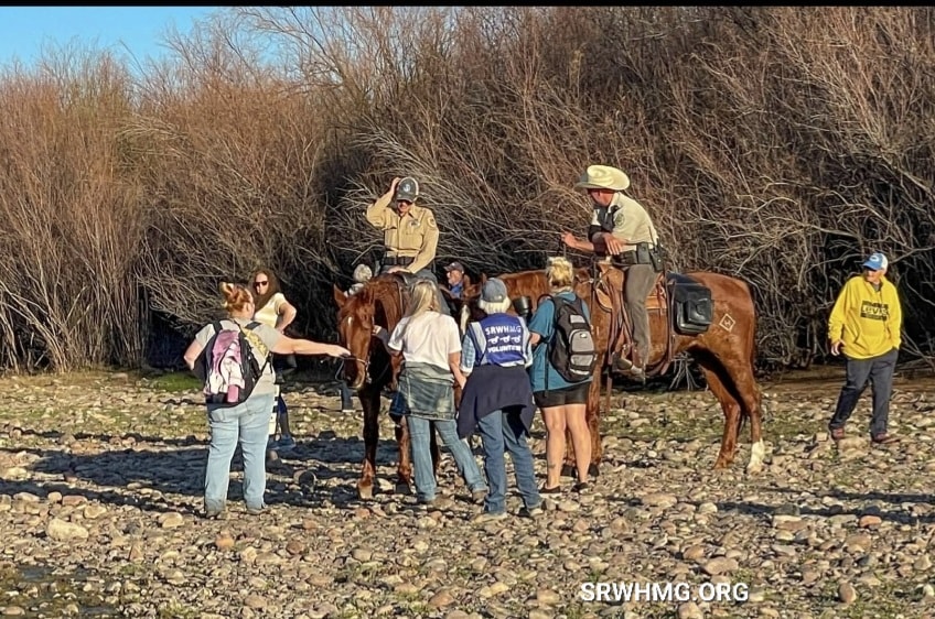 Herds of people come to watch the bands of wild horses