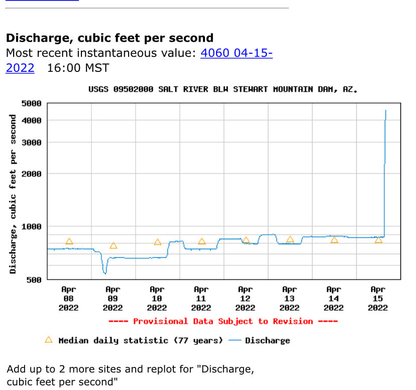 Update on the Stewart Moutain Dam