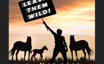 Let your voices be “herd”!