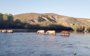 Crossing the river